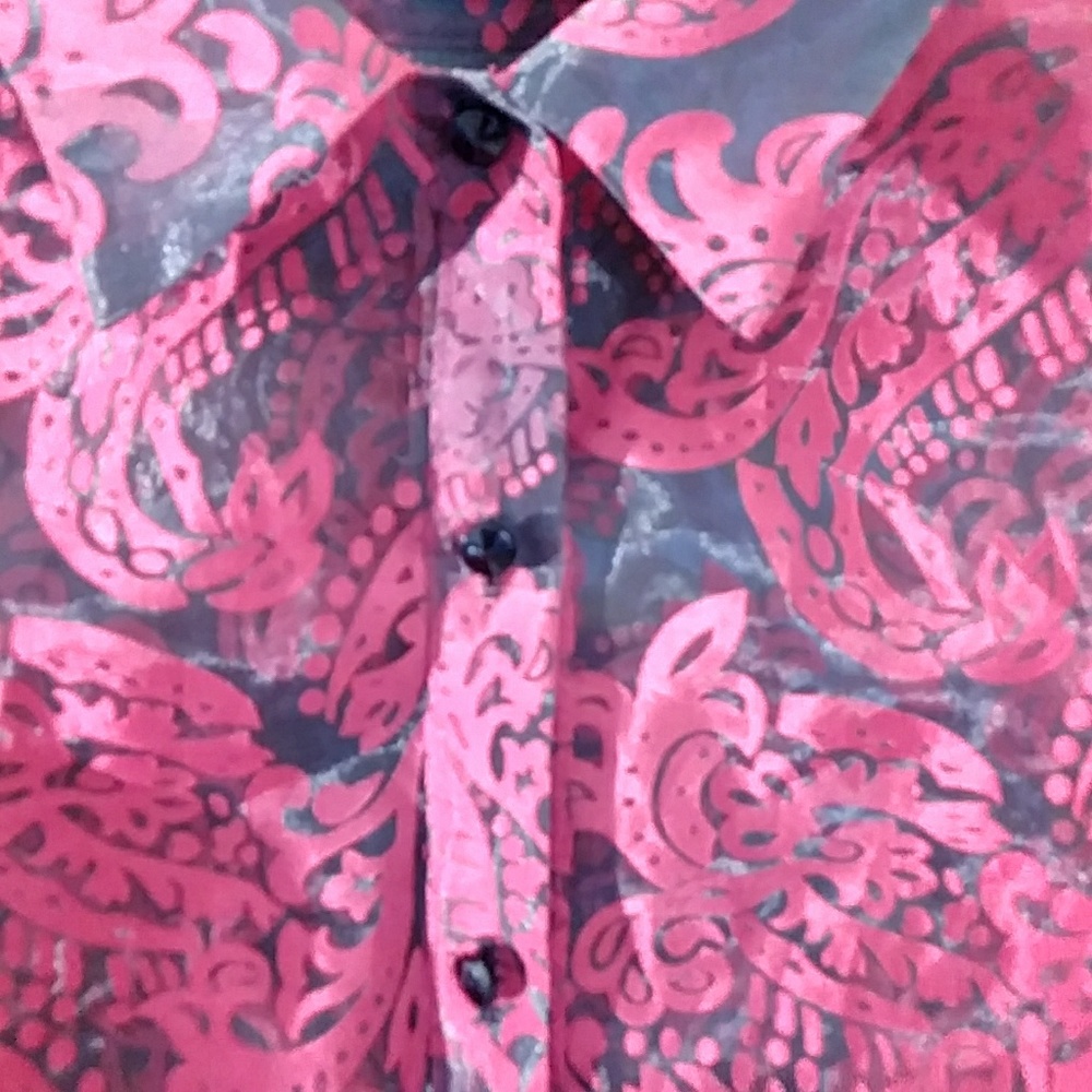 SheerSophisticated and Elegant shirt - Picture 4 of 8